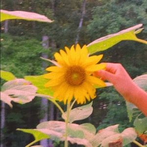 Meet your Posher, Salomé